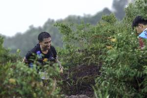 BIB: 
                            <button type="button" onclick="openModal(24741113)" class="btn btn-primary btn-sm float-right btn-popup" data-toggle="modal" data-target=".modal-high-quality">
                        <i class="fas fa-shopping-cart"></i> Add to Cart
                    </button>
                                            <button type="button" onclick="isThisMe(24741113, true)" class="btn btn-success btn-sm float-right btn-popup btn-isme hidden" data-toggle="tooltip" data-placement="bottom" title="นี่คือรูปของคุณใช่ไหม คลิกที่นี่เพื่อเอาเข้าอัลบั้ม">
                        <i class="fas fa-plus"></i> Add to album
                    </button>
                    <button type="button" onclick="isThisMe(24741113, false)" class="btn btn-warning btn-sm float-right btn-popup btn-isnotme hidden">
                        <i class="fas fa-ban"></i> Remove from album
                    </button>